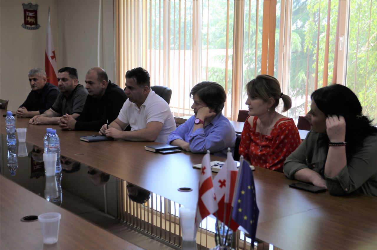 Dmanisi bələdiyyəsinin meri Koba Muradaşvili və şəhər şurasının sədri Paata Kuliaşvili Xalq Müdafiəçisi Ofisi yanında Etnik Azlıqlar Şurasının nümayəndələri ilə işgüzar görüş keçiriblər.