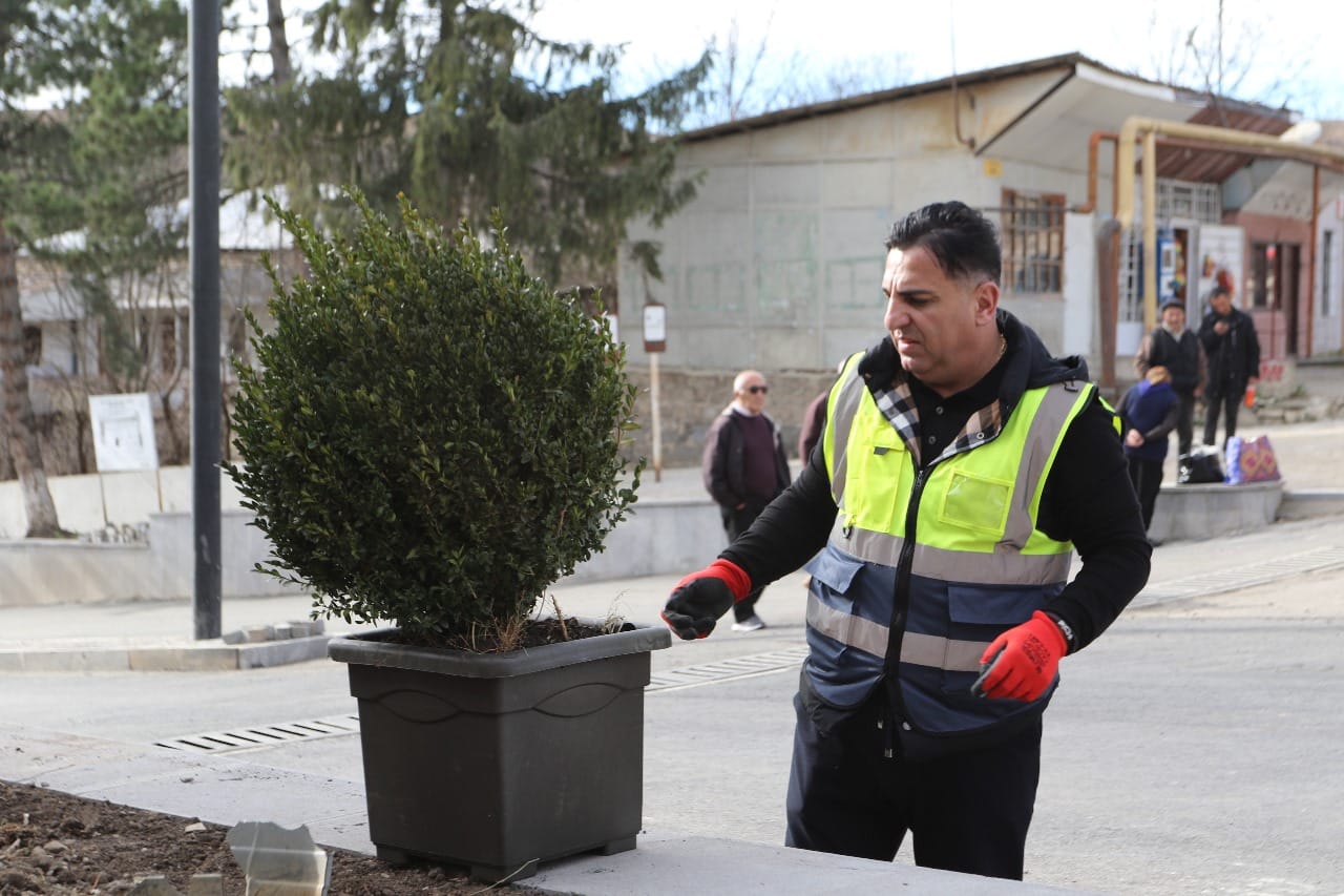 Dmanisi bələdiyyəsində növbəti yaşıllaşdırma aksiyası keçirilib